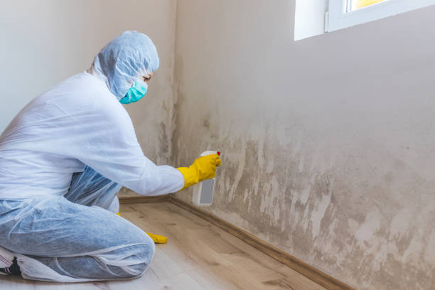 Mold Remediation specialist working in Bensenville