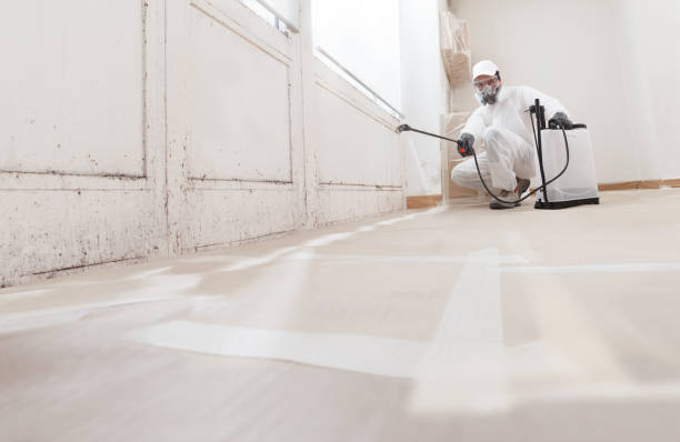Post-remediation clearance in Bensenville
